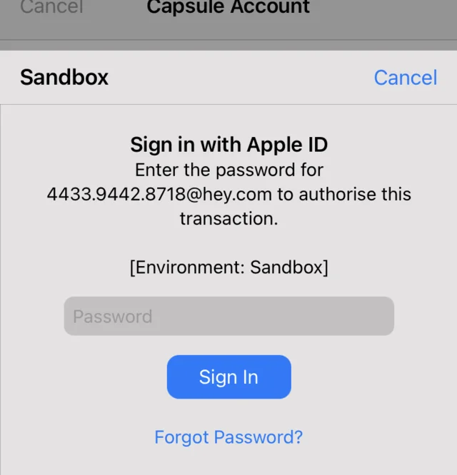 A sandbox sheet asking for the account password to authorise the transaction.