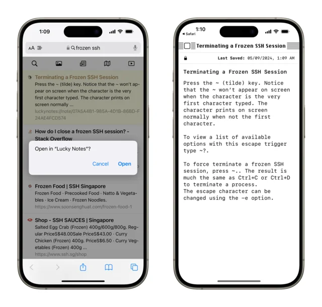 Two iPhone screenshots: a Lucky search result from Lucky Notes at the top of the page, and the saved note opened in the app.
