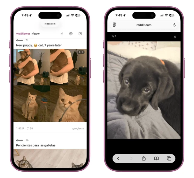 2 iPhone screenshots of Wallflower: a Reddit post feed and an image viewer.
