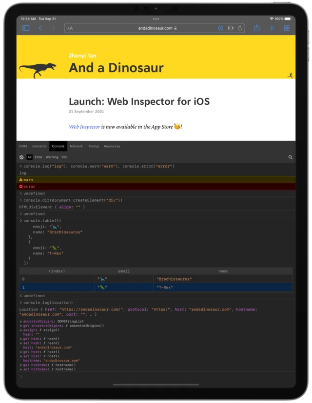 Web Inspector’s Console tab open on an iPad below this blog post, showing log, warn, error, console.table, and console.dir output.